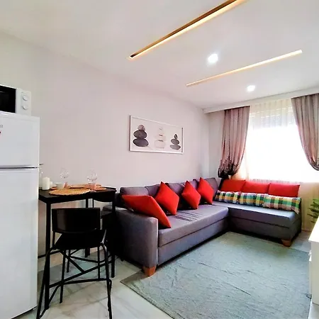 Apartment Central And Fully Furnished Flat In Muratpasa